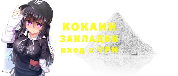 прущие крисы Бородино