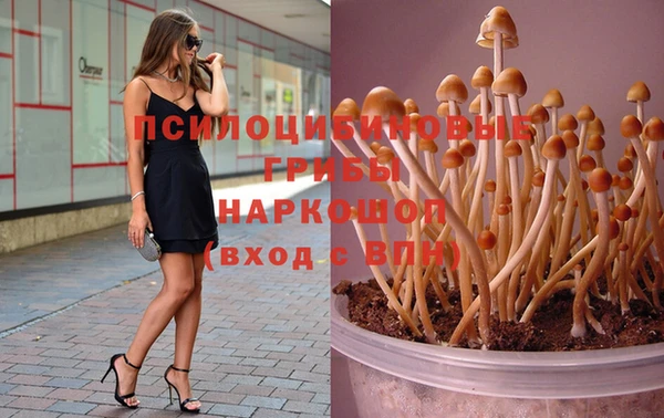 гидропоника Бугульма