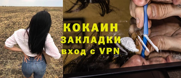 прущие крисы Бородино