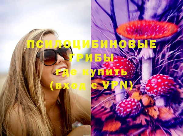 прущие крисы Бородино