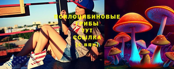 прущие крисы Бородино