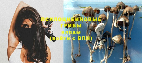 гидропоника Бугульма