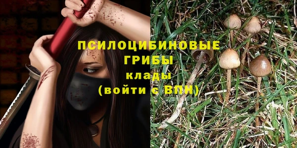 гидропоника Бугульма
