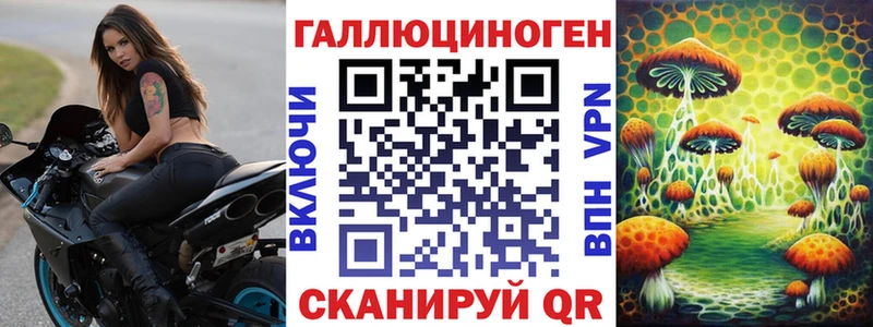Купить где  Печора  Галлюциногенные грибы GOLDEN TEACHER 